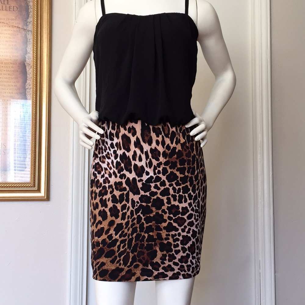 Cache dress - Picture 2 of 6